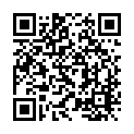 To view this 2019 Hyundai Elantra Homestead FL from Rubio Auto Sales, please scan this QR code with your smartphone or tablet to view the mobile version of this page.