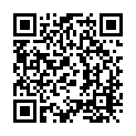 To view this 2011 Toyota Sienna Homestead FL from Rubio Auto Sales, please scan this QR code with your smartphone or tablet to view the mobile version of this page.