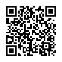 To view this 2013 Honda Odyssey Homestead FL from Rubio Auto Sales, please scan this QR code with your smartphone or tablet to view the mobile version of this page.