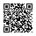 To view this 2011 Honda Pilot Homestead FL from Rubio Auto Sales, please scan this QR code with your smartphone or tablet to view the mobile version of this page.