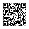 To view this 2011 Toyota Sienna Homestead FL from Rubio Auto Sales, please scan this QR code with your smartphone or tablet to view the mobile version of this page.
