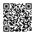 To view this 2015 Ford F-250SD Homestead FL from Rubio Auto Sales, please scan this QR code with your smartphone or tablet to view the mobile version of this page.