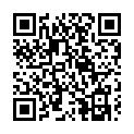 To view this 2016 Toyota RAV4 Homestead FL from Rubio Auto Sales, please scan this QR code with your smartphone or tablet to view the mobile version of this page.