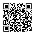 To view this 2012 Honda Pilot Homestead FL from Rubio Auto Sales, please scan this QR code with your smartphone or tablet to view the mobile version of this page.