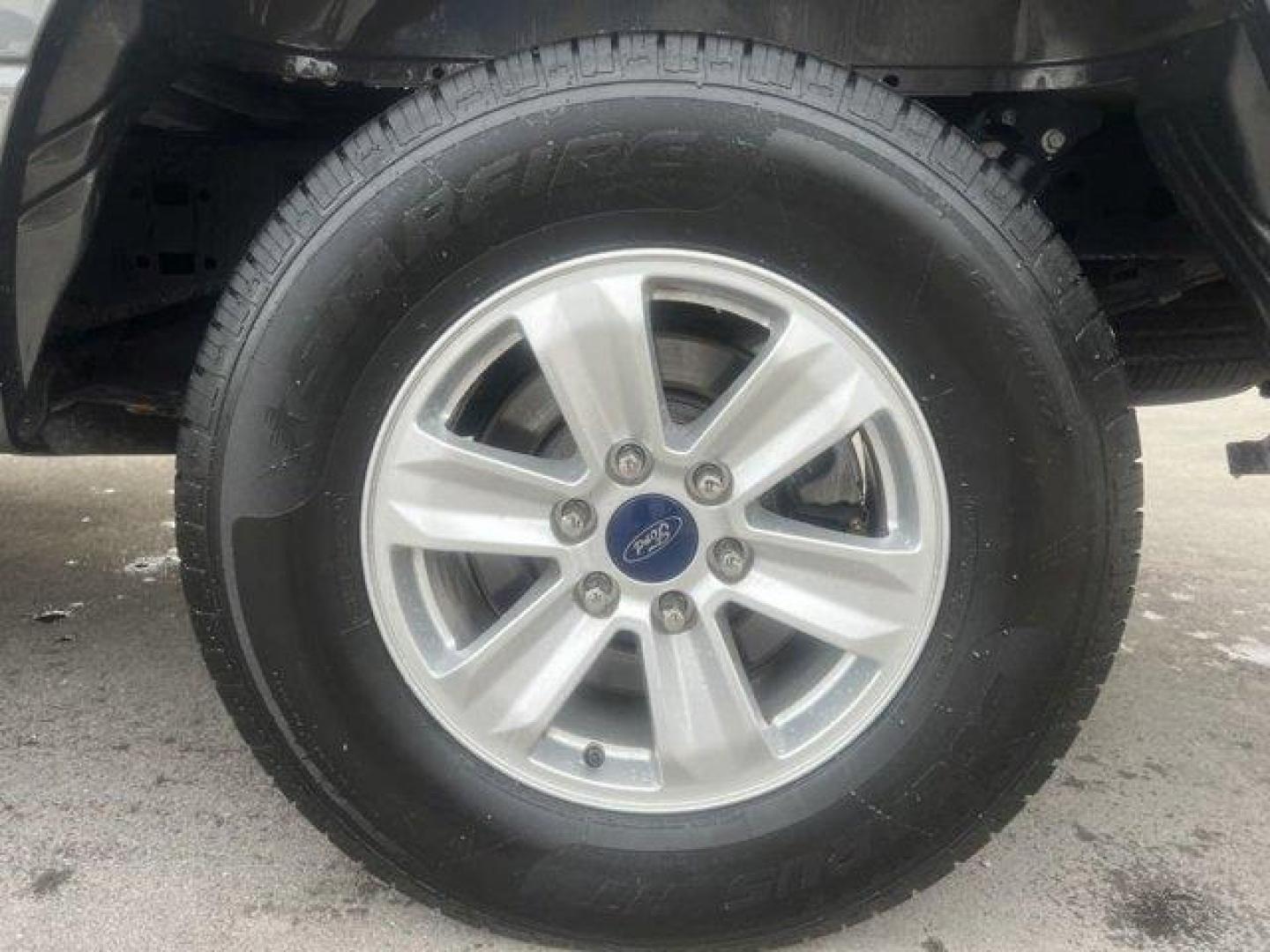 2016 Gray Ford F-150 XL (1FTEX1C81GF) with an 6 3.5 L engine, Automatic transmission, located at 27610 S Dixie Hwy, Homestead, FL, 33032, (305) 749-2348, 25.510241, -80.438301 - KBB.com Brand Image Awards. Scores 25 Highway MPG and 18 City MPG! This Ford F-150 boasts a Regular Unleaded V6 3.5 L EcoBoost engine powering this Automatic transmission. Variable Intermittent Wipers, Urethane Gear Shifter Material, Transmission: Electronic 6-Speed Automatic -inc: tow/haul mode.* T - Photo#16