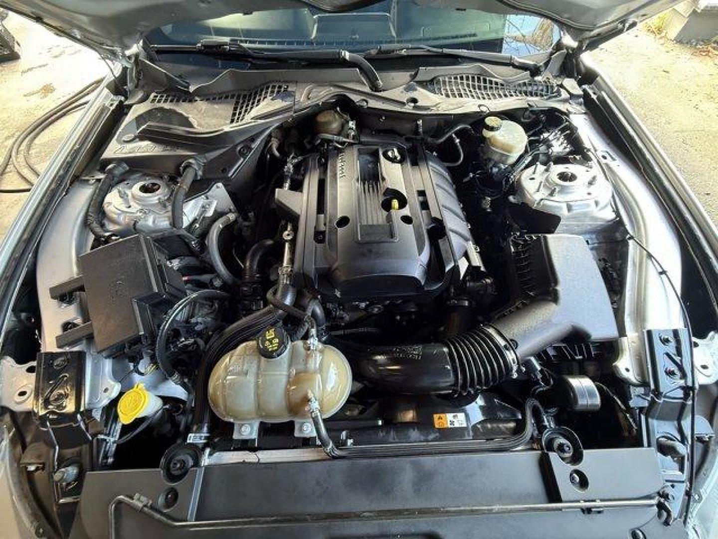 2017 Silver Ford Mustang EcoBoost Premium (1FA6P8TH2H5) with an 4 2.3 L engine, Automatic transmission, located at 27610 S Dixie Hwy, Homestead, FL, 33032, (305) 749-2348, 25.510241, -80.438301 - KBB.com 10 Coolest Cars Under $25,000. Scores 30 Highway MPG and 21 City MPG! This Ford Mustang boasts a Intercooled Turbo Premium Unleaded I-4 2.3 L/140 engine powering this Automatic transmission. ENGINE: 2.3L ECOBOOST (STD), Wireless Phone Connectivity, Wheels: 18 x 8 Magnetic Painted/Machined -i - Photo#14