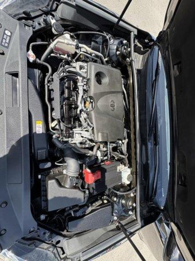 2019 Black Toyota Camry (4T1B11HK0KU) with an 4 2.5 L engine, Automatic transmission, located at 27610 S Dixie Hwy, Homestead, FL, 33032, (305) 749-2348, 25.510241, -80.438301 - KBB.com 10 Most Comfortable Cars Under $30,000. This Toyota Camry boasts a Regular Unleaded I-4 2.5 L/152 engine powering this Automatic transmission. Window Grid And Roof Mount Antenna, Variable Intermittent Wipers, Valet Function.*This Toyota Camry Comes Equipped with These Options *Trunk Rear Car - Photo#17