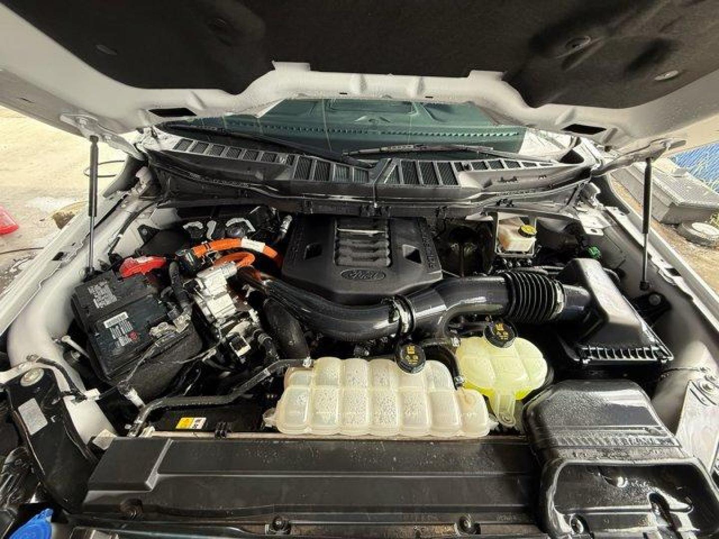 2021 White Ford F-150 (1FTFW1EDXMF) with an 6 3.5 L engine, Automatic transmission, located at 27610 S Dixie Hwy, Homestead, FL, 33032, (305) 749-2348, 25.510241, -80.438301 - NACTOY 2021 North American Truck of the Year. Only 35,207 Miles! This Ford F-150 delivers a PowerBoost Full-Hybrid V6 3.5 L engine powering this Automatic transmission. ENGINE: 3.5L POWERBOOST FULL-HYBRID V6 -inc: Electronic Locking w/3.73 Axle Ratio, GVWR: 7,350 lbs Payload Package, Dual Zone Autom - Photo#17