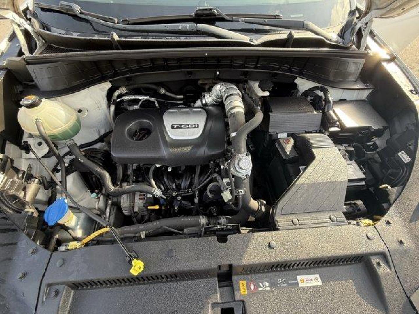 2017 Dazzling White /Gray Hyundai Tucson (KM8J33A28HU) with an 4 1.6 L engine, Automatic transmission, located at 27610 S Dixie Hwy, Homestead, FL, 33032, (305) 749-2348, 25.510241, -80.438301 - IIHS Top Safety Pick. Delivers 32 Highway MPG and 26 City MPG! This Hyundai Tucson delivers a Intercooled Turbo Regular Unleaded I-4 1.6 L/97 engine powering this Automatic transmission. OPTION GROUP 01, GRAY, YES ESSENTIALS CLOTH SEAT TRIM -inc: odor resistant cloth, FIRST AID KIT.*This Hyundai Tuc - Photo#15