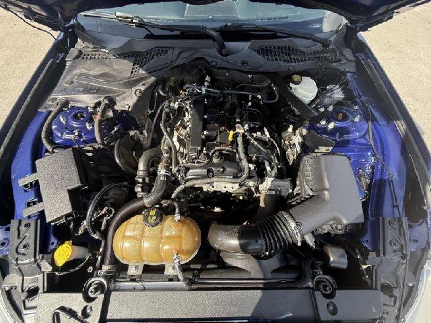 2015 Blue Ford Mustang (1FA6P8TH4F5) with an 4 2.3 L engine, Automatic transmission, located at 27610 S Dixie Hwy, Homestead, FL, 33032, (305) 749-2348, 25.510241, -80.438301 - KBB.com Best Buy Awards Finalist. Only 109,920 Miles! Boasts 31 Highway MPG and 22 City MPG! This Ford Mustang delivers a Intercooled Turbo Premium Unleaded I-4 2.3 L/140 engine powering this Automatic transmission. Trunk Rear Cargo Access, Trip Computer, Transmission: 6-Speed Manual.*This Ford Must - Photo#16