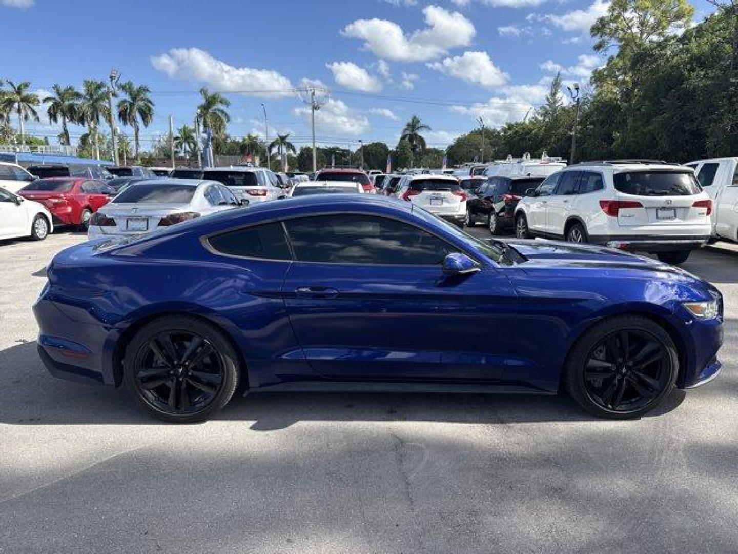 2015 Blue Ford Mustang (1FA6P8TH4F5) with an 4 2.3 L engine, Automatic transmission, located at 27610 S Dixie Hwy, Homestead, FL, 33032, (305) 749-2348, 25.510241, -80.438301 - KBB.com Best Buy Awards Finalist. Only 109,920 Miles! Boasts 31 Highway MPG and 22 City MPG! This Ford Mustang delivers a Intercooled Turbo Premium Unleaded I-4 2.3 L/140 engine powering this Automatic transmission. Trunk Rear Cargo Access, Trip Computer, Transmission: 6-Speed Manual.*This Ford Must - Photo#5