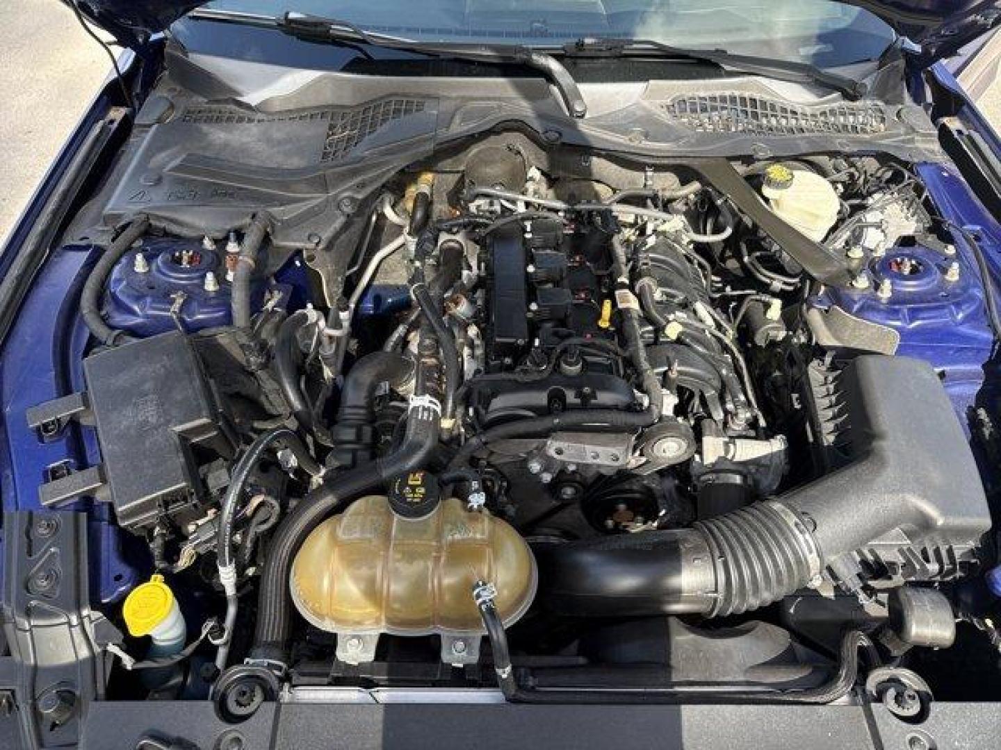 2015 Blue Ford Mustang (1FA6P8TH4F5) with an 4 2.3 L engine, Automatic transmission, located at 27610 S Dixie Hwy, Homestead, FL, 33032, (305) 749-2348, 25.510241, -80.438301 - KBB.com Best Buy Awards Finalist. Only 109,920 Miles! Boasts 31 Highway MPG and 22 City MPG! This Ford Mustang delivers a Intercooled Turbo Premium Unleaded I-4 2.3 L/140 engine powering this Automatic transmission. Trunk Rear Cargo Access, Trip Computer, Transmission: 6-Speed Manual.*This Ford Must - Photo#8