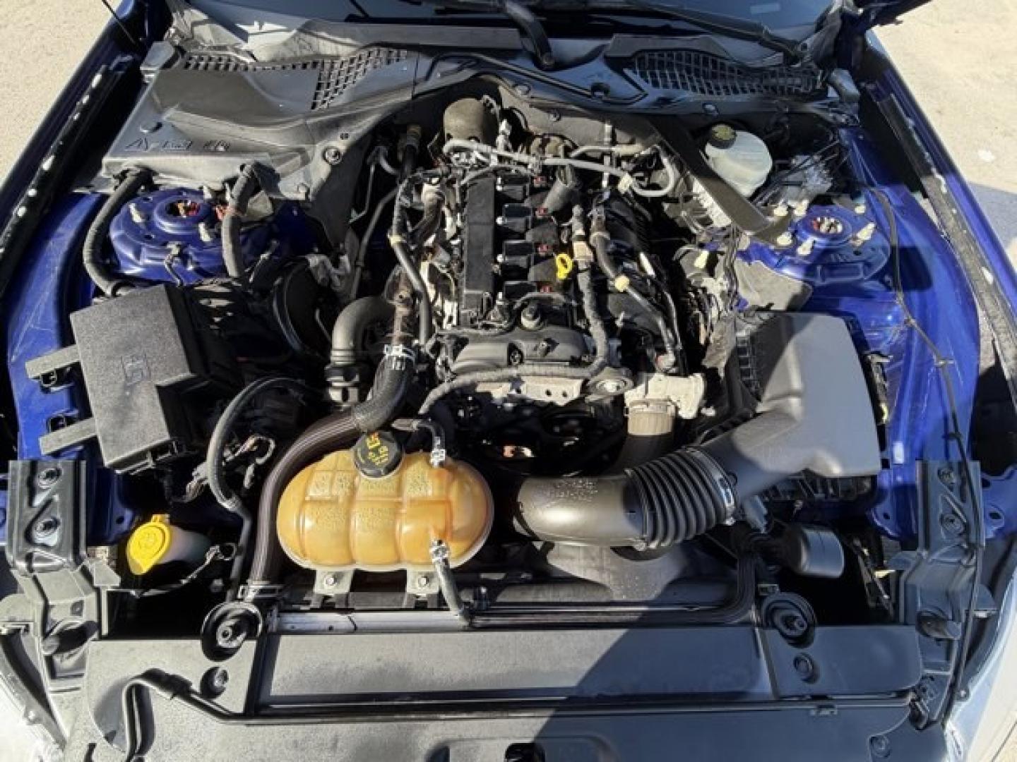 2015 Blue Ford Mustang (1FA6P8TH4F5) with an 4 2.3 L engine, Automatic transmission, located at 27610 S Dixie Hwy, Homestead, FL, 33032, (305) 749-2348, 25.510241, -80.438301 - KBB.com Best Buy Awards Finalist. Only 109,920 Miles! Boasts 31 Highway MPG and 22 City MPG! This Ford Mustang delivers a Intercooled Turbo Premium Unleaded I-4 2.3 L/140 engine powering this Automatic transmission. Trunk Rear Cargo Access, Trip Computer, Transmission: 6-Speed Manual.*This Ford Must - Photo#13