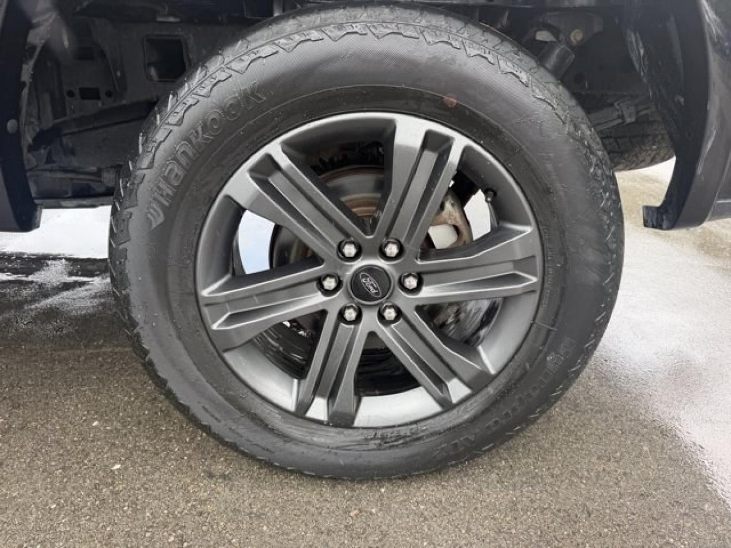2019 Black Ford F-150 (1FTEW1E54KK) with an 8 5.0 L engine, Automatic transmission, located at 27610 S Dixie Hwy, Homestead, FL, 33032, (305) 749-2348, 25.510241, -80.438301 - This Ford F-150 delivers a Regular Unleaded V8 5.0 L engine powering this Automatic transmission. ENGINE: 5.0L V8 -inc: auto start-stop technology and flex-fuel capability, (STD), Transmission w/SelectShift Sequential Shift Control, Towing Equipment -inc: Trailer Sway Control.*This Ford F-150 Comes- Photo#14