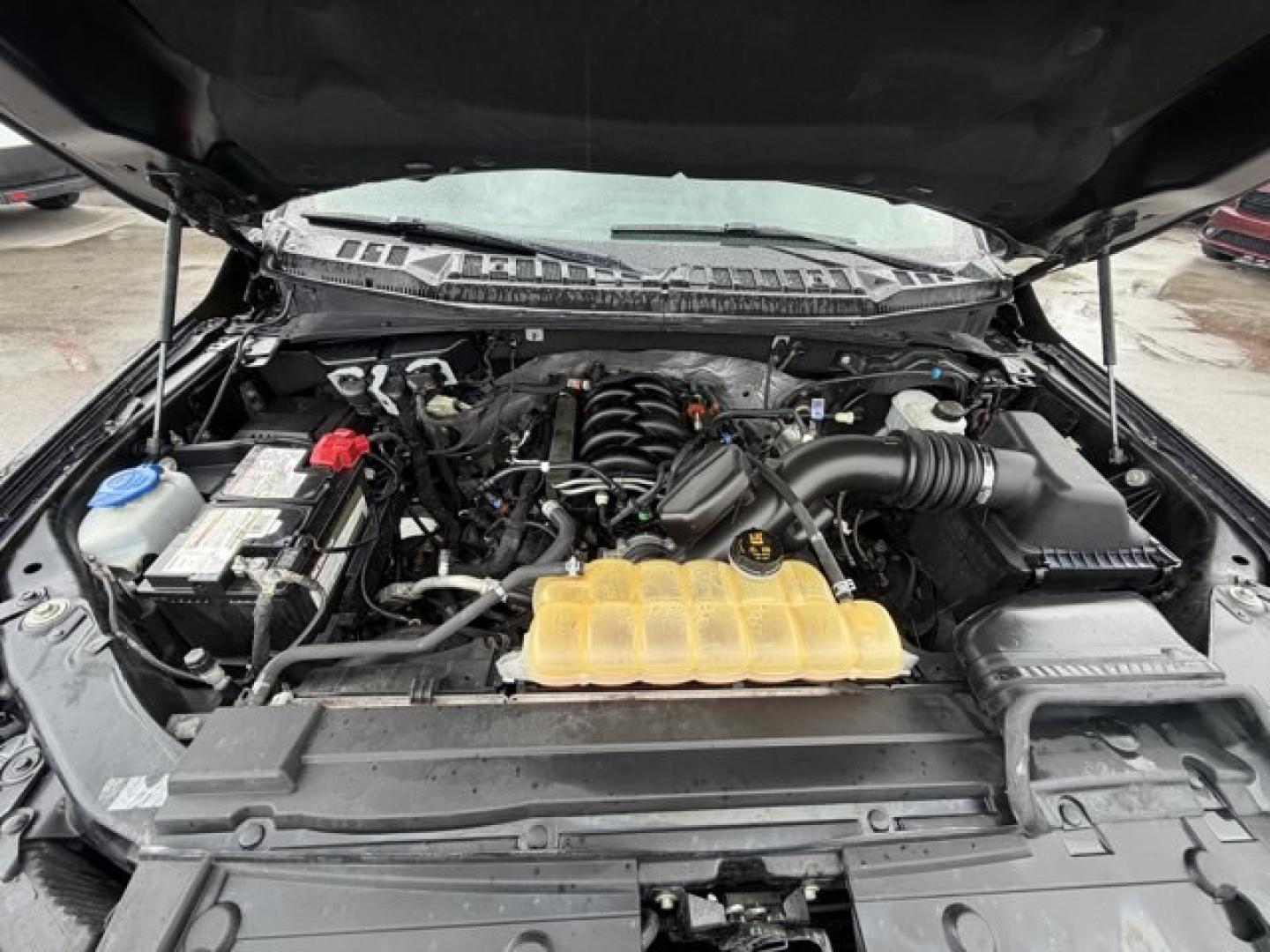 2019 Black Ford F-150 (1FTEW1E54KK) with an 8 5.0 L engine, Automatic transmission, located at 27610 S Dixie Hwy, Homestead, FL, 33032, (305) 749-2348, 25.510241, -80.438301 - This Ford F-150 delivers a Regular Unleaded V8 5.0 L engine powering this Automatic transmission. ENGINE: 5.0L V8 -inc: auto start-stop technology and flex-fuel capability, (STD), Transmission w/SelectShift Sequential Shift Control, Towing Equipment -inc: Trailer Sway Control.*This Ford F-150 Comes- Photo#15