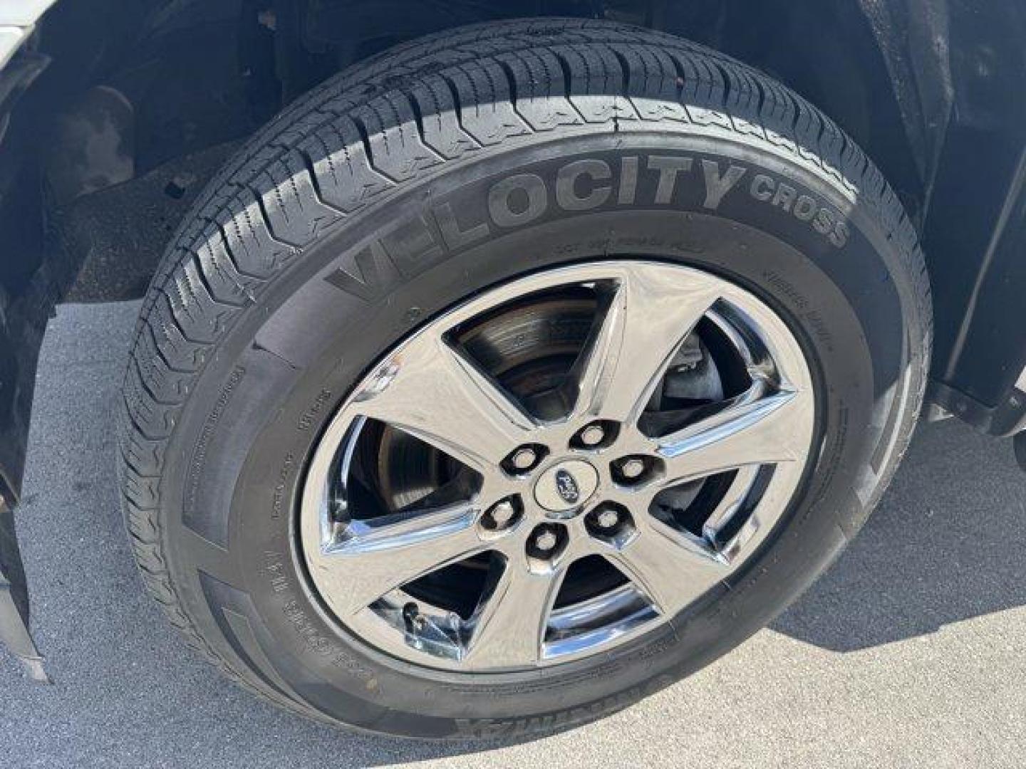 2019 White Ford F-150 (1FTEW1C53KF) with an 8 5.0 L engine, Automatic transmission, located at 27610 S Dixie Hwy, Homestead, FL, 33032, (305) 749-2348, 25.510241, -80.438301 - Delivers 25 Highway MPG and 19 City MPG! This Ford F-150 delivers a Regular Unleaded V8 5.0 L engine powering this Automatic transmission. Variable Intermittent Wipers, Urethane Gear Shifter Material, Transmission w/Driver Selectable Mode and SelectShift Sequential Shift Control.*This Ford F-150 Com - Photo#17