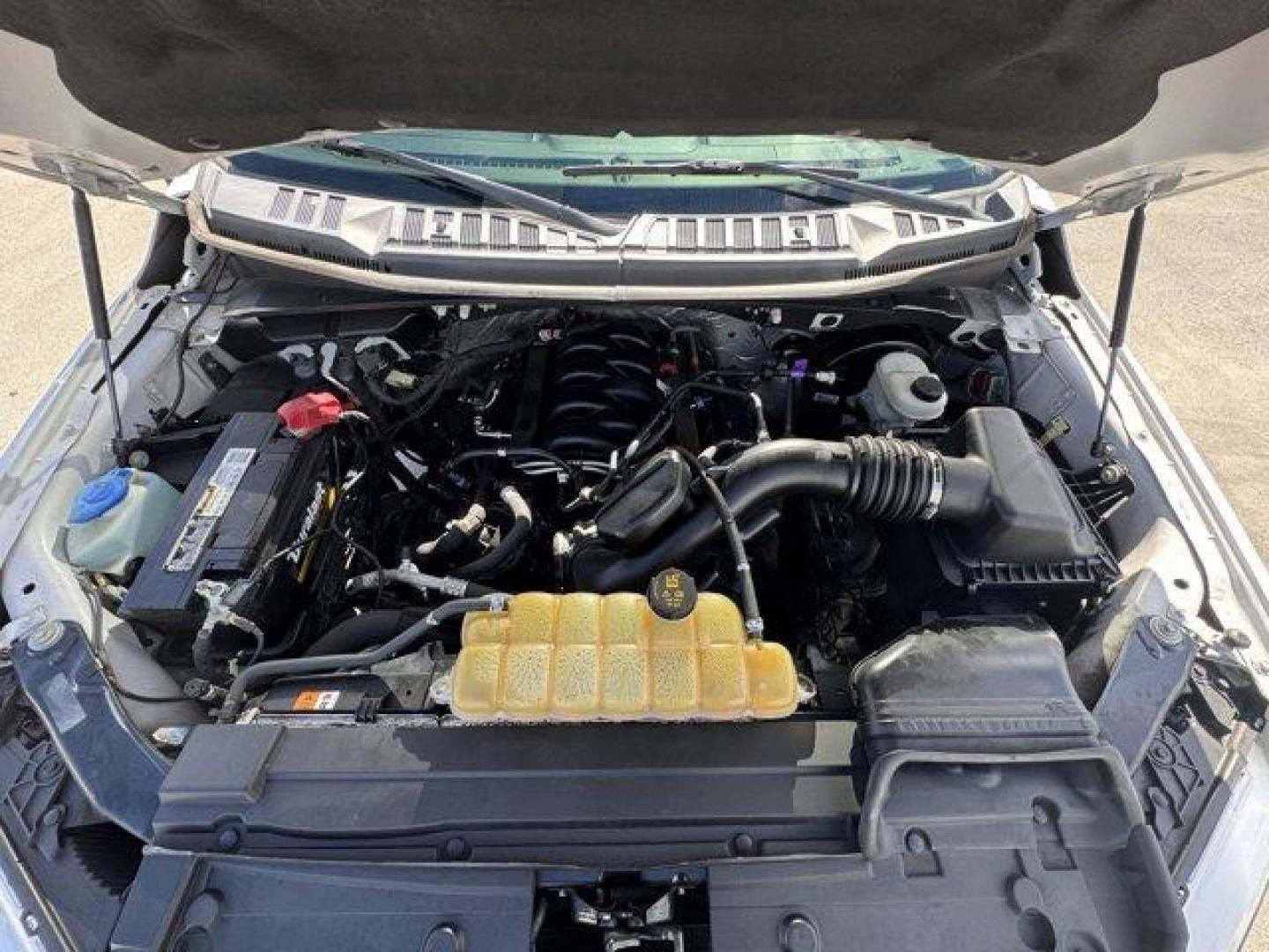 2019 White Ford F-150 (1FTEW1C53KF) with an 8 5.0 L engine, Automatic transmission, located at 27610 S Dixie Hwy, Homestead, FL, 33032, (305) 749-2348, 25.510241, -80.438301 - Delivers 25 Highway MPG and 19 City MPG! This Ford F-150 delivers a Regular Unleaded V8 5.0 L engine powering this Automatic transmission. Variable Intermittent Wipers, Urethane Gear Shifter Material, Transmission w/Driver Selectable Mode and SelectShift Sequential Shift Control.*This Ford F-150 Com - Photo#18