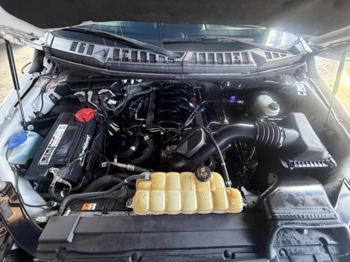2019 White Ford F-150 (1FTEW1C53KF) with an 8 5.0 L engine, Automatic transmission, located at 27610 S Dixie Hwy, Homestead, FL, 33032, (305) 749-2348, 25.510241, -80.438301 - Delivers 25 Highway MPG and 19 City MPG! This Ford F-150 delivers a Regular Unleaded V8 5.0 L engine powering this Automatic transmission. Variable Intermittent Wipers, Urethane Gear Shifter Material, Transmission w/Driver Selectable Mode and SelectShift Sequential Shift Control.*This Ford F-150 Com- Photo#15