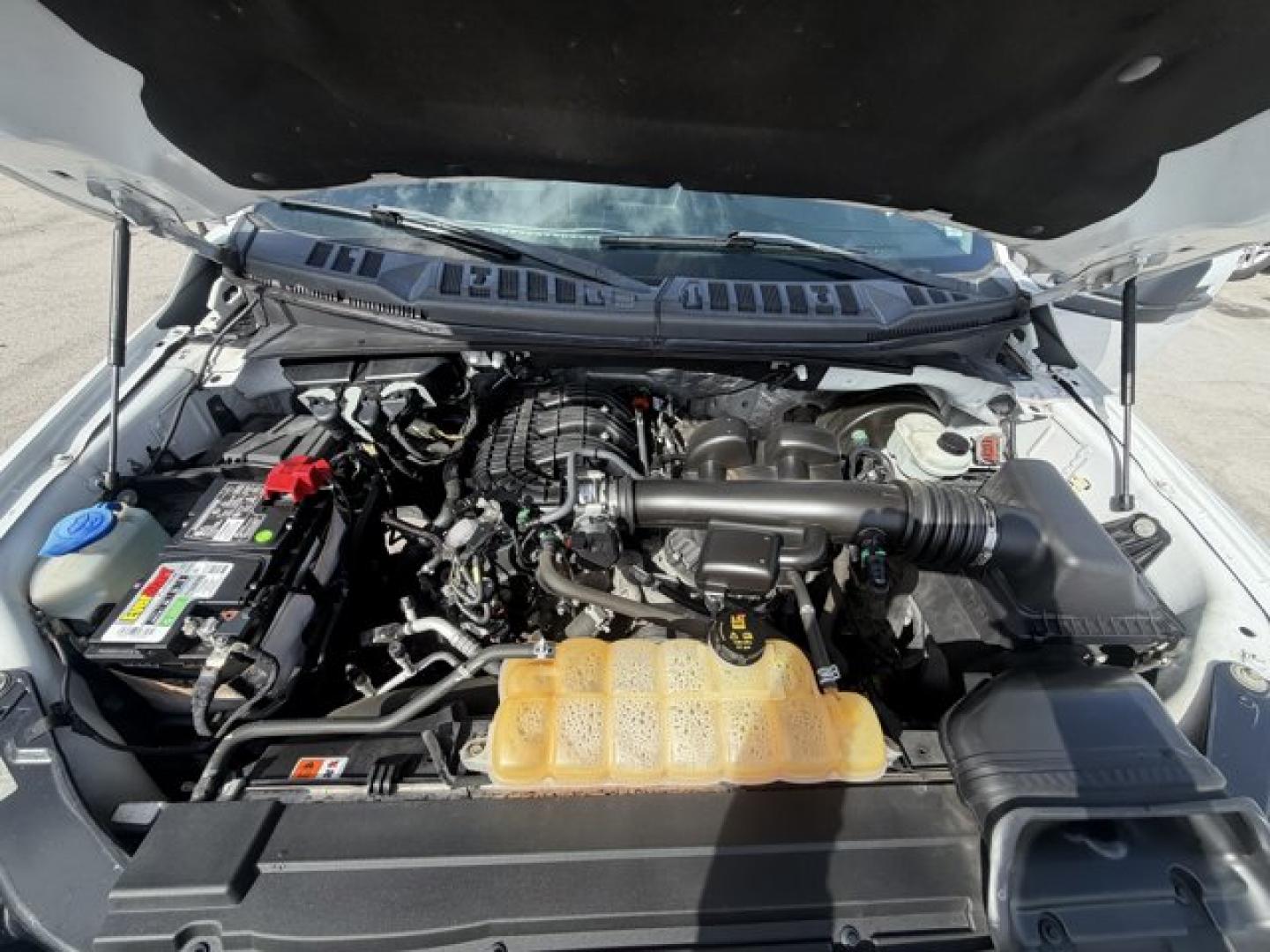 2018 White Ford F-150 (1FTEW1CB3JF) with an 6 3.3 L engine, Automatic transmission, located at 27610 S Dixie Hwy, Homestead, FL, 33032, (305) 749-2348, 25.510241, -80.438301 - KBB.com Brand Image Awards. Delivers 25 Highway MPG and 20 City MPG! This Ford F-150 delivers a Regular Unleaded V-6 3.3 L/204 engine powering this Automatic transmission. Variable Intermittent Wipers, Urethane Gear Shifter Material, Transmission: Electronic 6-Speed Automatic -inc: selectable drive- Photo#16